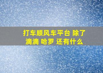 打车顺风车平台 除了滴滴 哈罗 还有什么